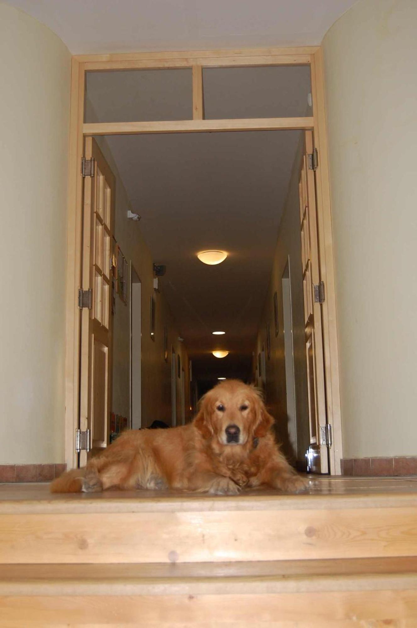 Hostel Toulcuv Dvur Prag